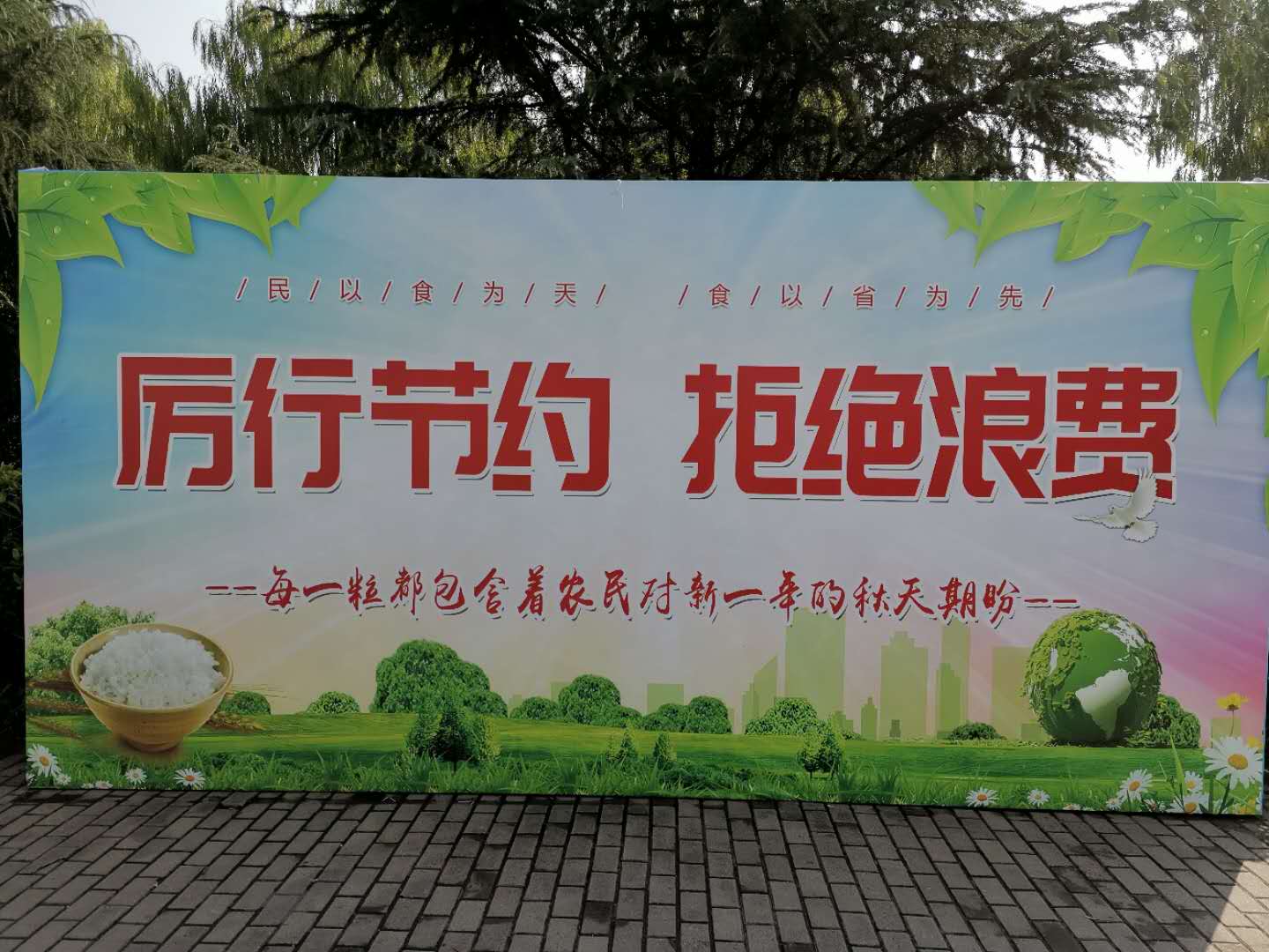 8dac4d3768639bb48c9d52bf38486b2